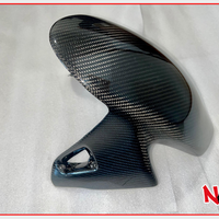 Parafango Anteriore Carbon WP24 - Ducati Streetfighter V4/V4S - 2020/2022