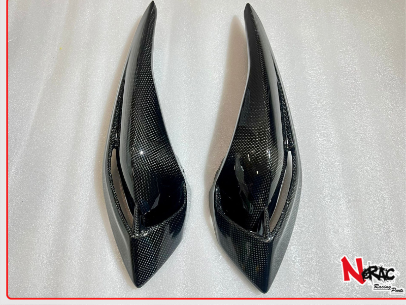 Carene Posteriori Codino Carbon WP24 - MV AGUSTA Brutale 675 - 2012/2018