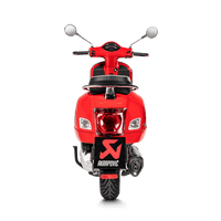 Vespa GTS/GTV 2005-20 Slip-On Line (SS) Auspuffschalldämpfer S-VE3SO9-HRSS