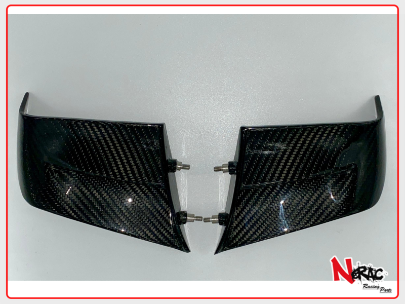 Ali Winglet Carbon WP24 - Ducati Panigale V4/V4S/V4R - 2022/2024