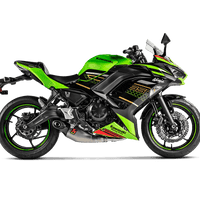 Komplettauspuff Kawasaki Ninja 650/Z650 2017-20 Racing Line (Titan) S-K6R12-HEGEHT