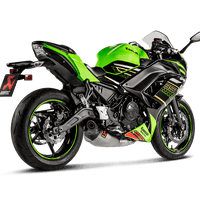 Komplettauspuff Kawasaki Ninja 650/Z650 2017-20 Racing Line (Titan) S-K6R12-HEGEHT