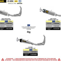 INDY RACE ALUMINUM COLLECTOR + SILENCER KIT KAWASAKI Z650 '21/22 WITH CARBY AND DBK END CAP