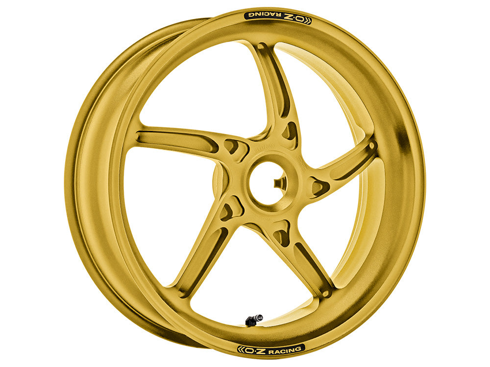 Cerchio POSTERIORE OZ Racing PIEGA R MONOBRACCIO – Alluminio Forgiato